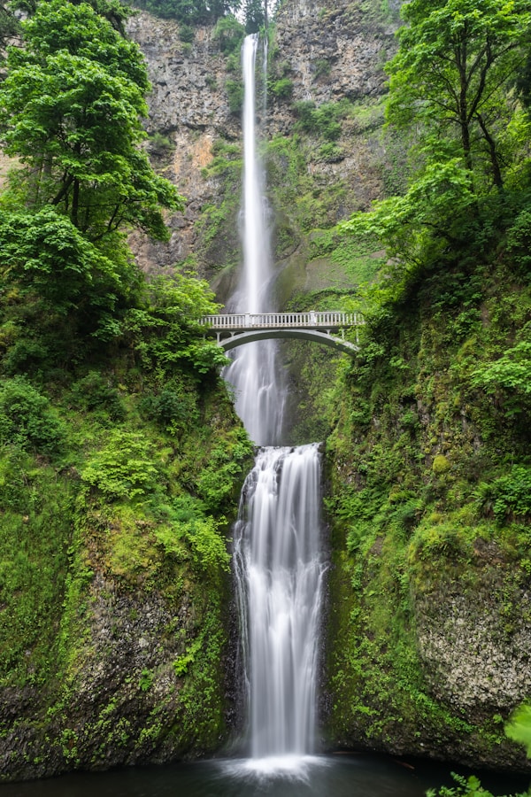 宁静的山林风光