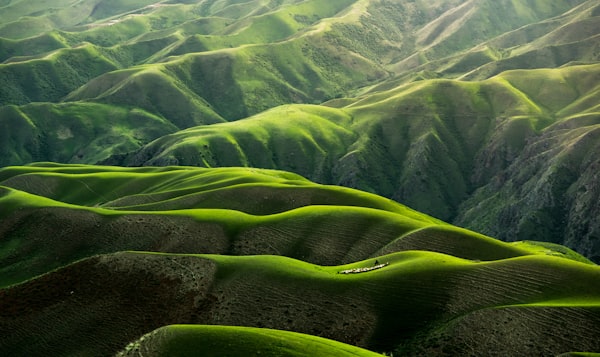 青草自然场景